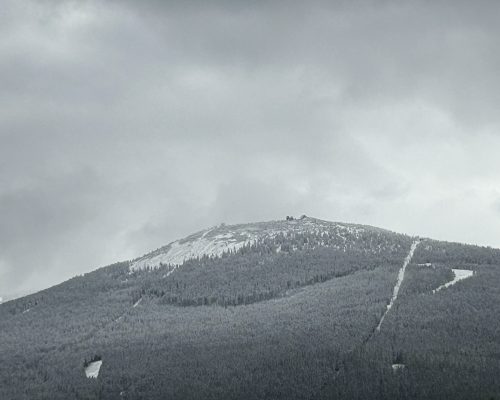 IMG_1118